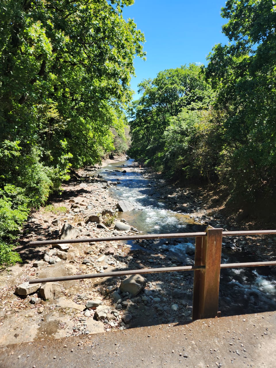 Jardines y espacios verdes