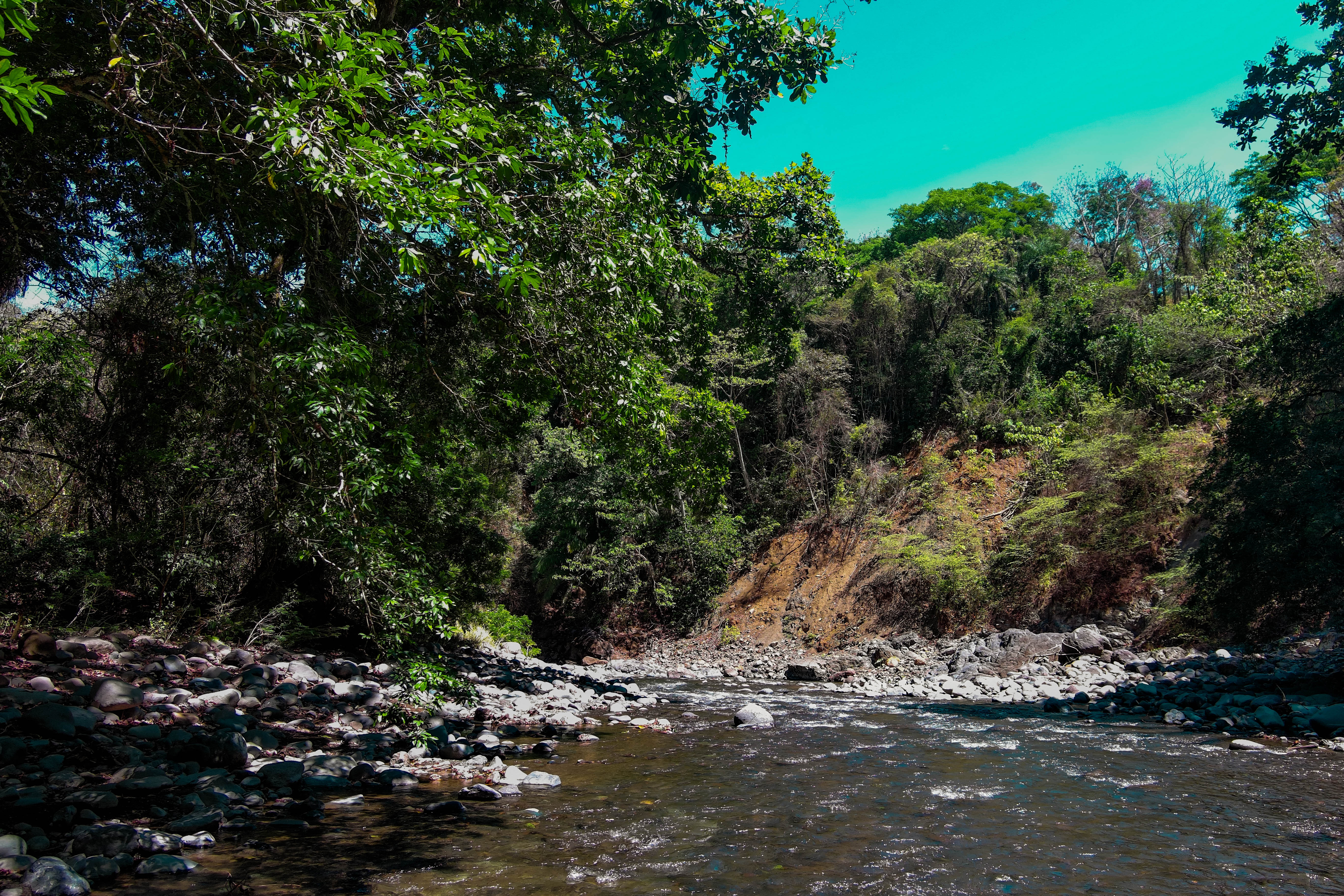 Río cristalino de Turrubares rodeado de vegetación tropical